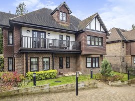 Beechwood Park, Hemel Hempstead photo