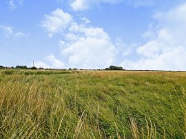 The Drove, Barroway Drove, Downham Market thumb 2