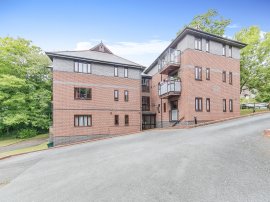 Acer Grove, Ipswich thumb 1