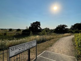 Serotine Crescent, Trowbridge thumb 2