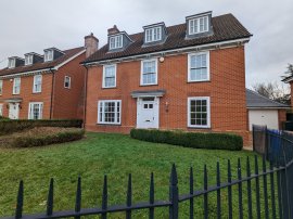 Glanely Gardens, Exning, NEWMARKET photo