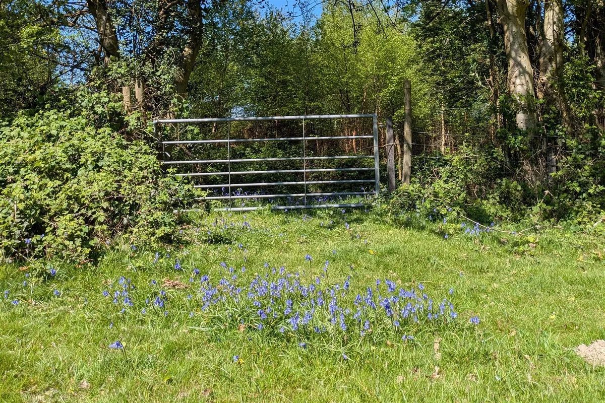 NEW PRICE edge of Ashdown Forest, Sussex