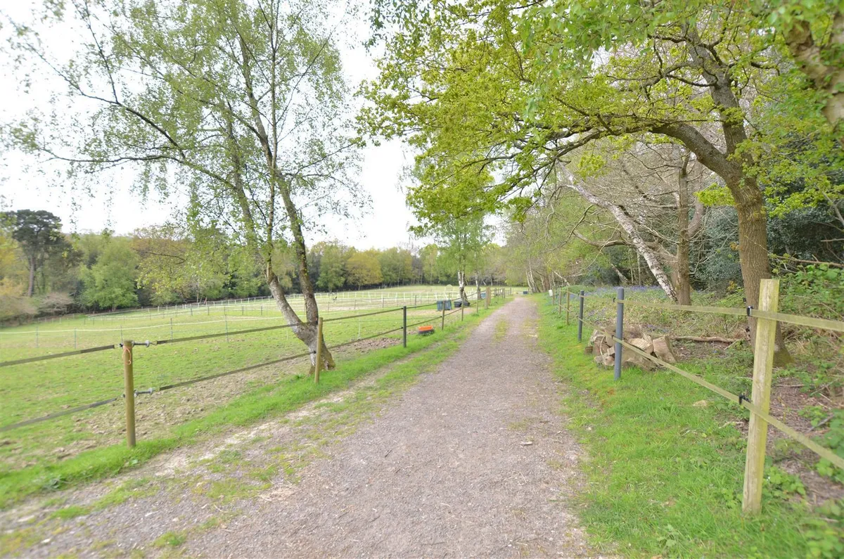 Surrey/Sussex/Kent borders