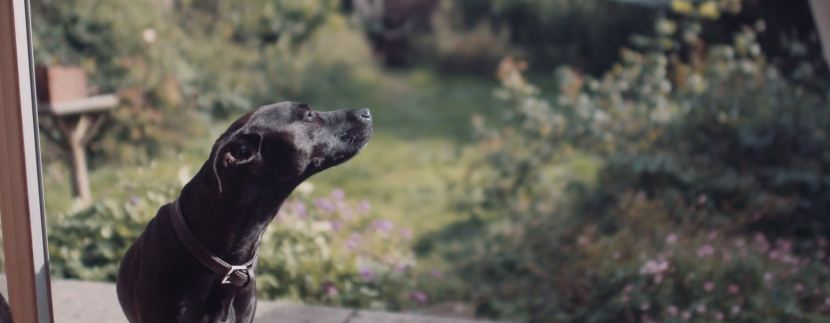 TED MAKES LONG-AWAITED SMALL SCREEN DEBUT IN OUR CLIENT EXPERIENCE VIDEO