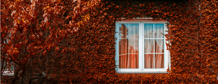 Goodbye Summer, Hello Autumn