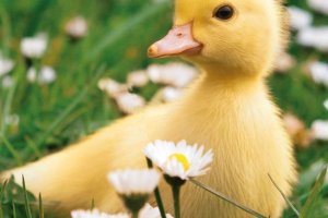 Looking to sell this Spring?