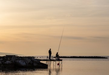 Cast Your Line in the South Hams: Devon’s Best Fishing Locations
