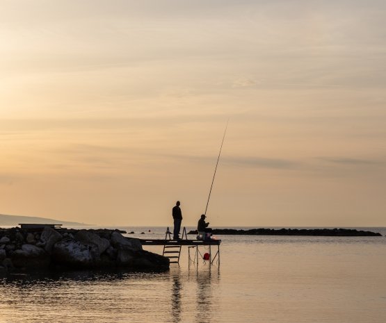 Cast Your Line in the South Hams: Devon’s Best Fishing Locations