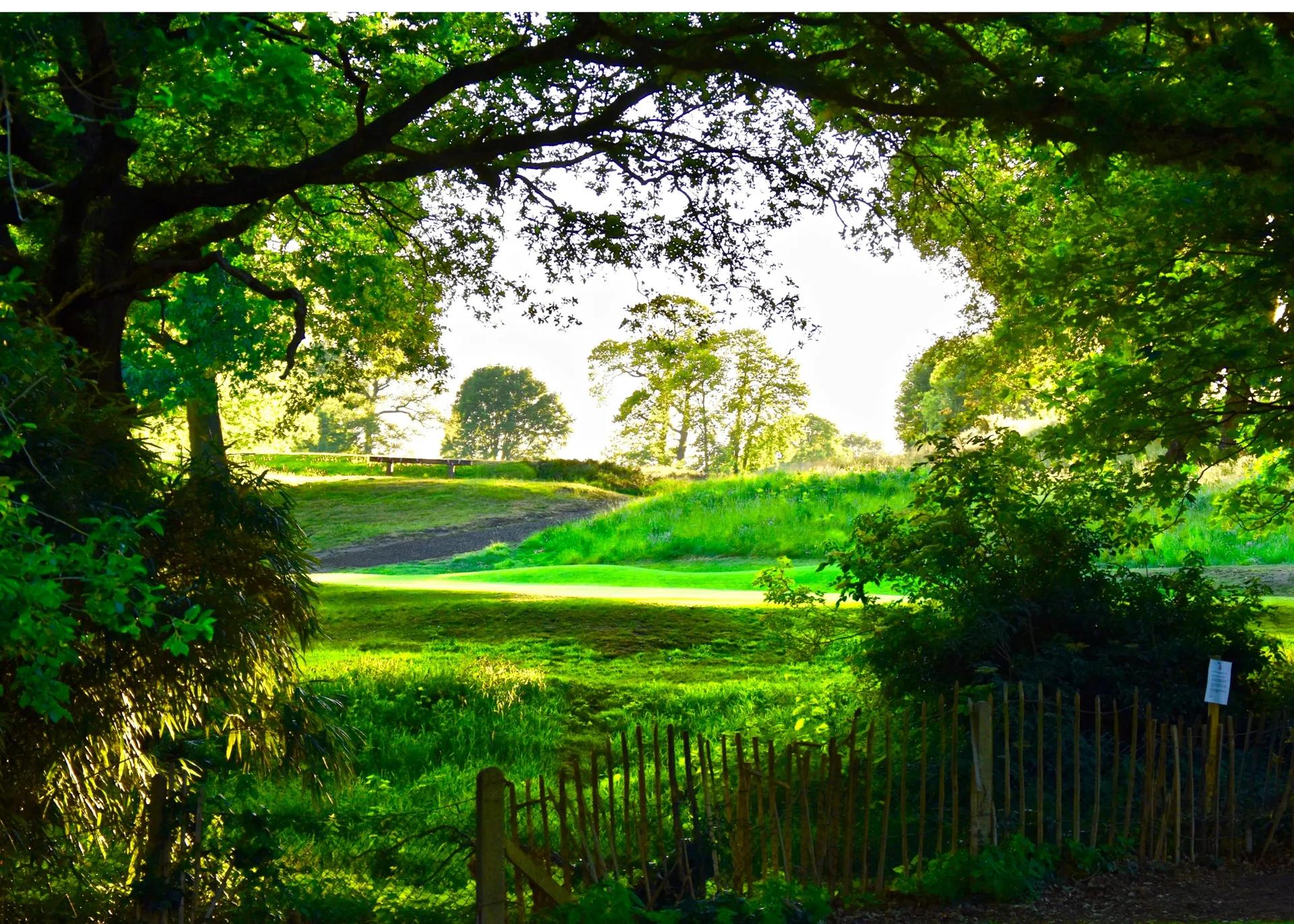 https://mr3.homeflow-assets.co.uk/files/media/image/0000/0000/f1915fa4e03487032de0e4cac07c34d6/Wimbledon_park.jpg