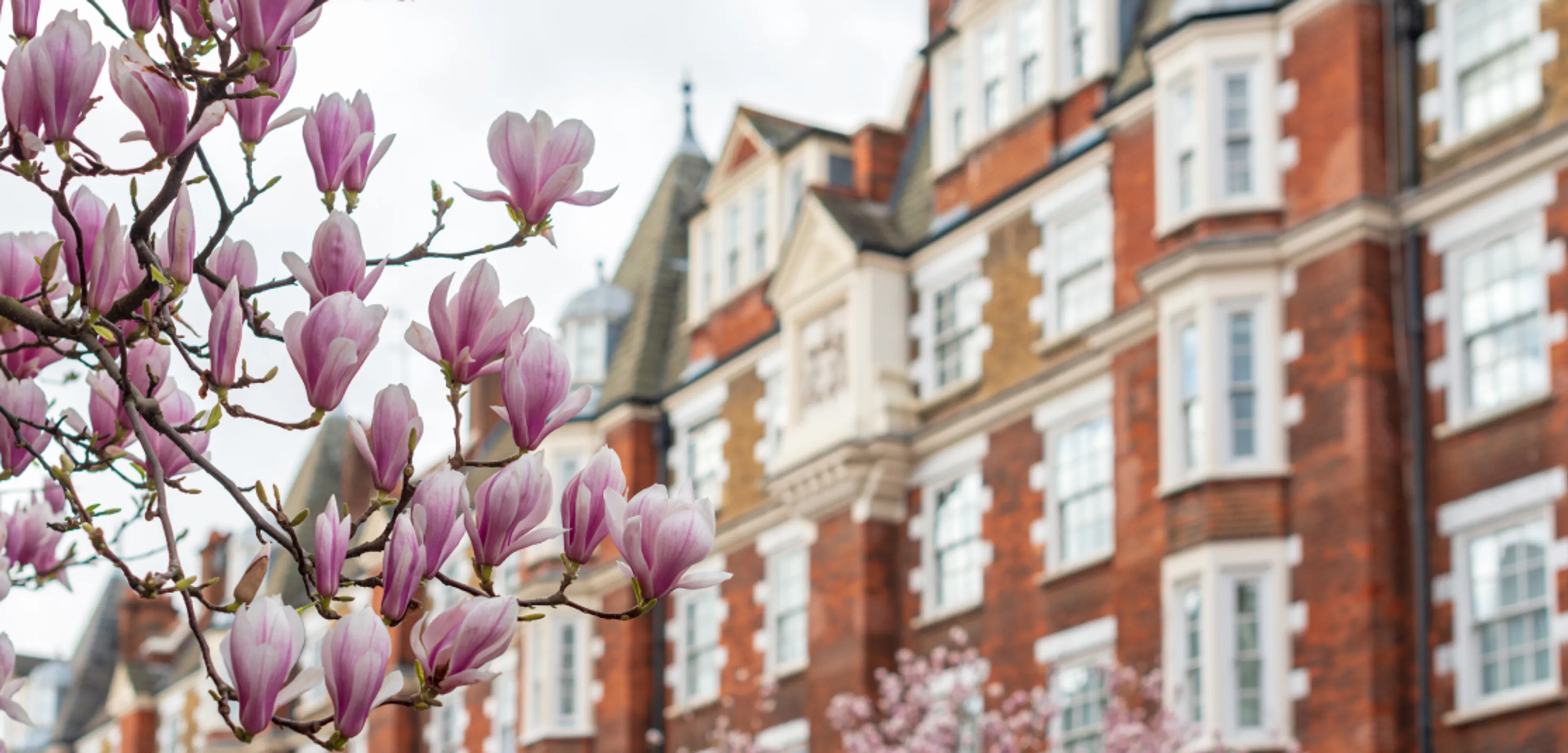 1115x535px-Marylebone.jpg