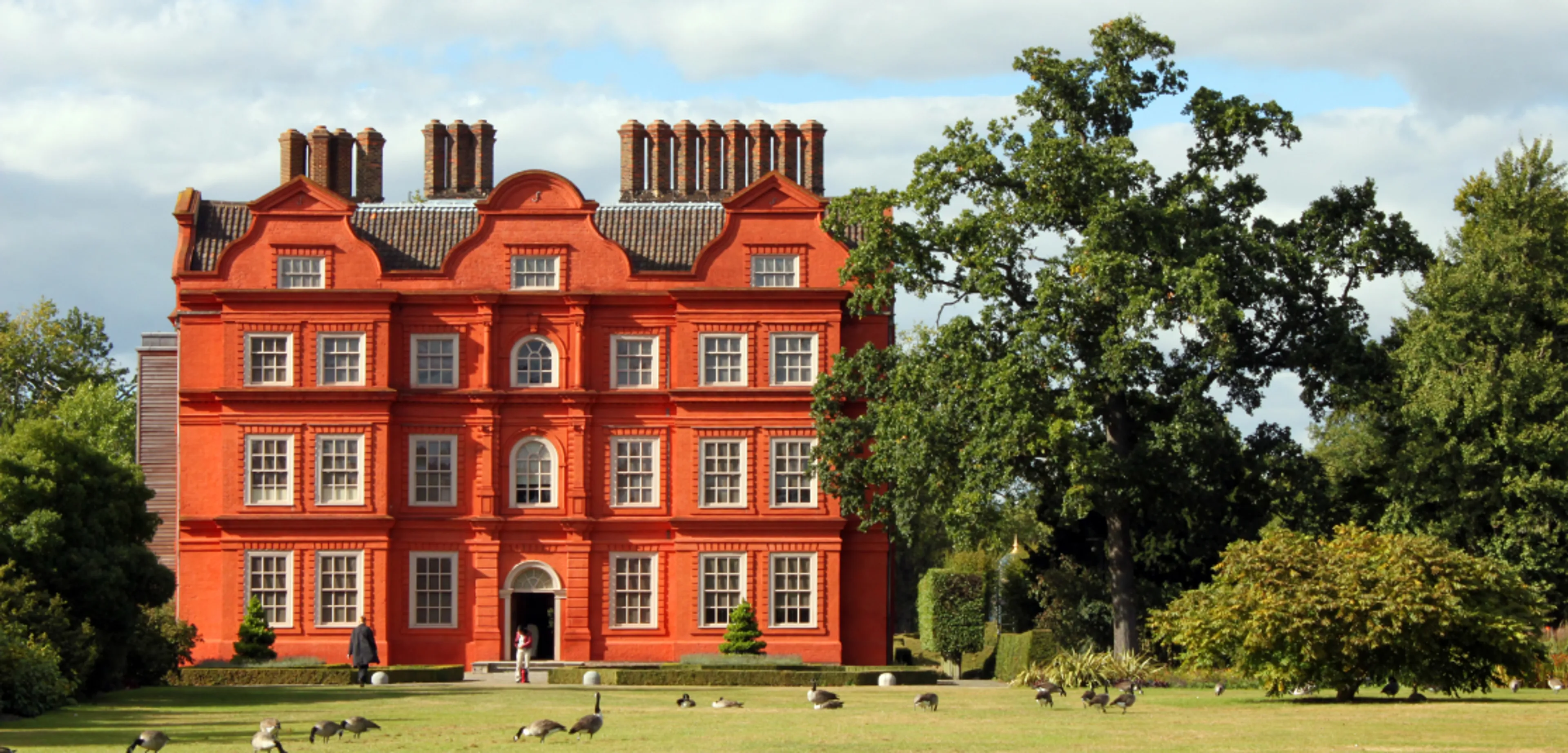 1115x535px-Kewbranch.jpg