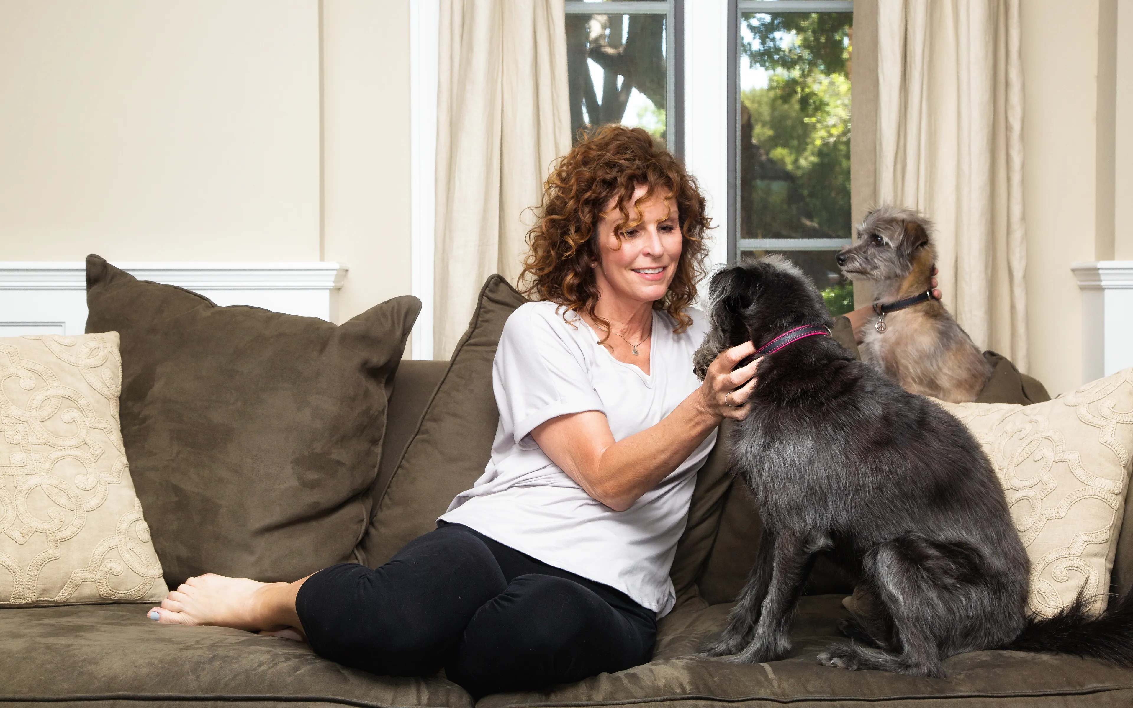 A landlord's guide to pet ownership in the UK 