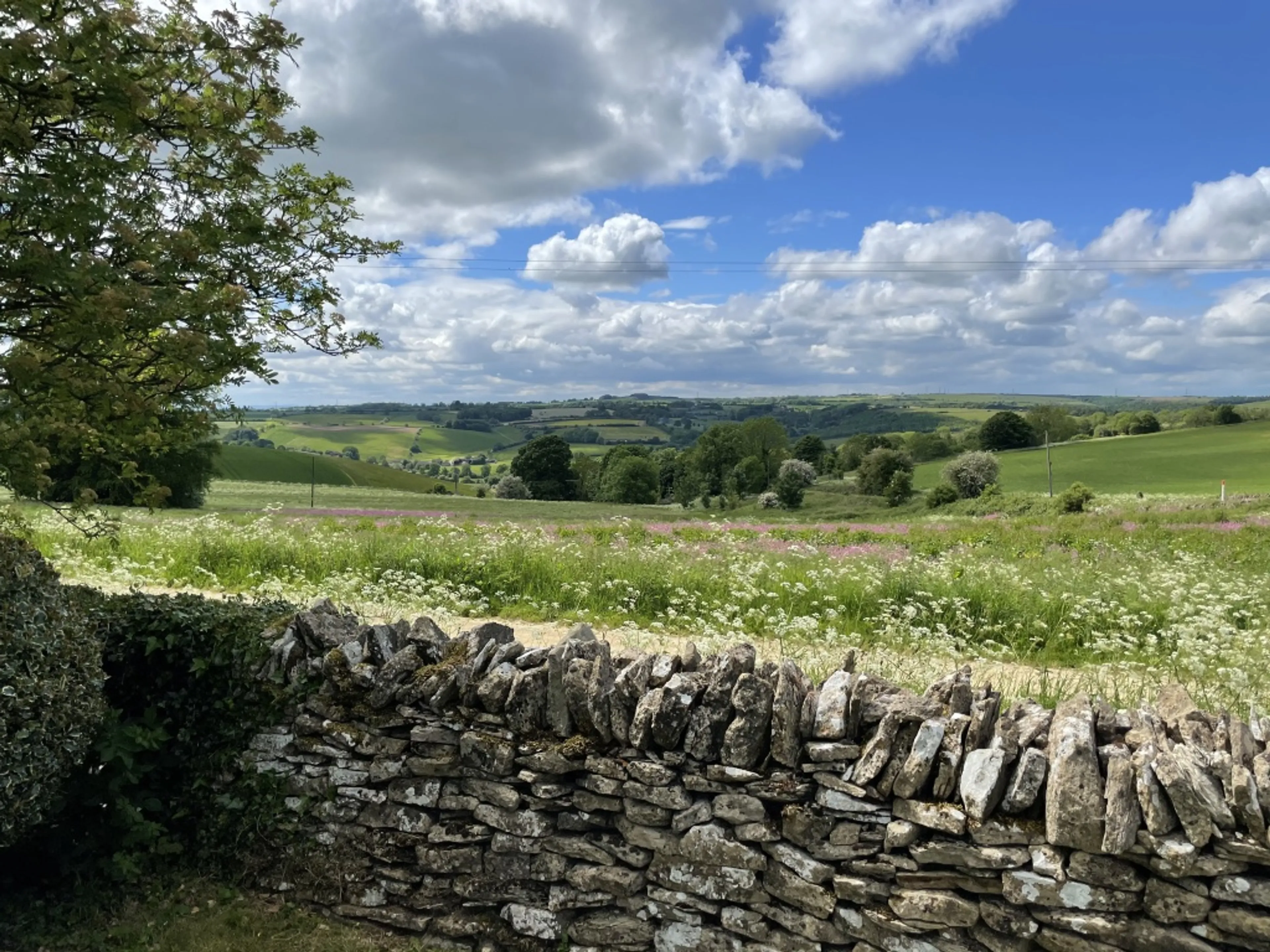 https://mr3.homeflow-assets.co.uk/files/media/image/0000/0000/804bb20235d389a5e78f1d50bf19a09f/ViewfromBoundaryWall(Medium).JPG