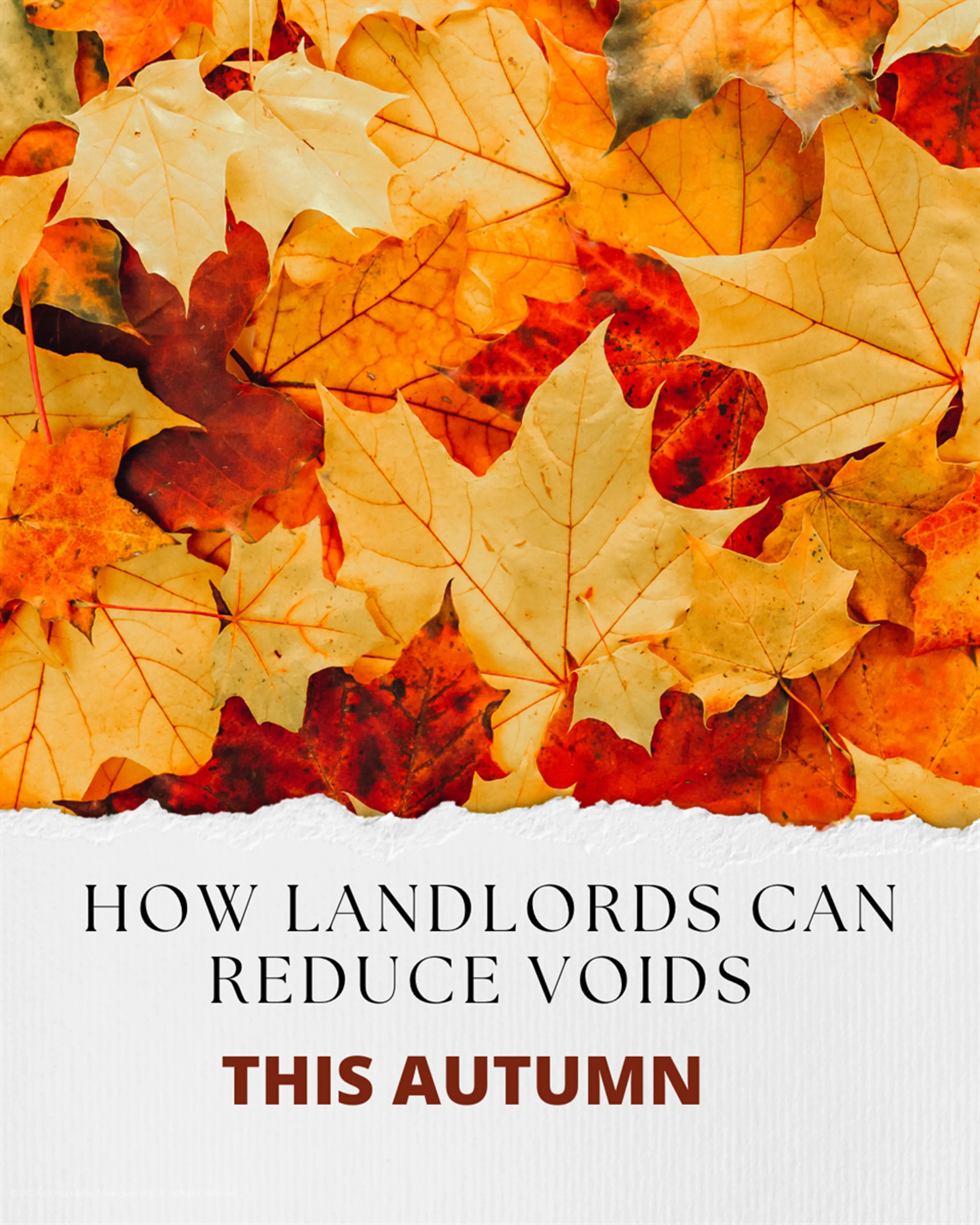 How landlords in Stoke-on-Trent can reduce voids this autumn