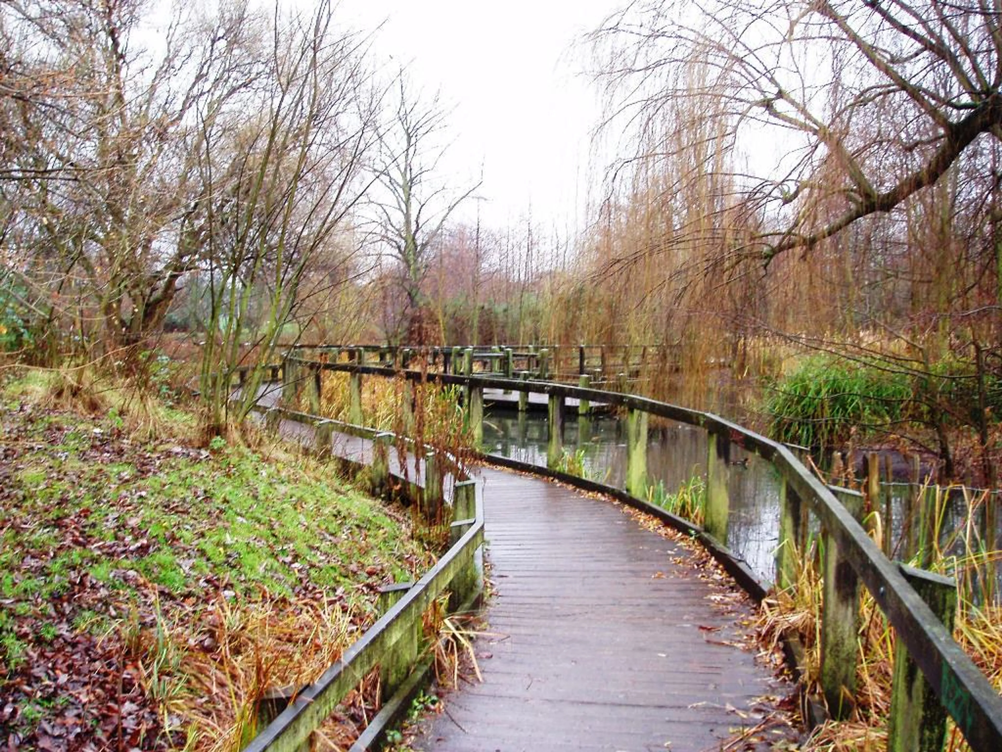 https://mr3.homeflow-assets.co.uk/files/media/image/0000/0000/b65e8f2806c6912101ed991301bd4dd1/WandsworthCommon.jpg