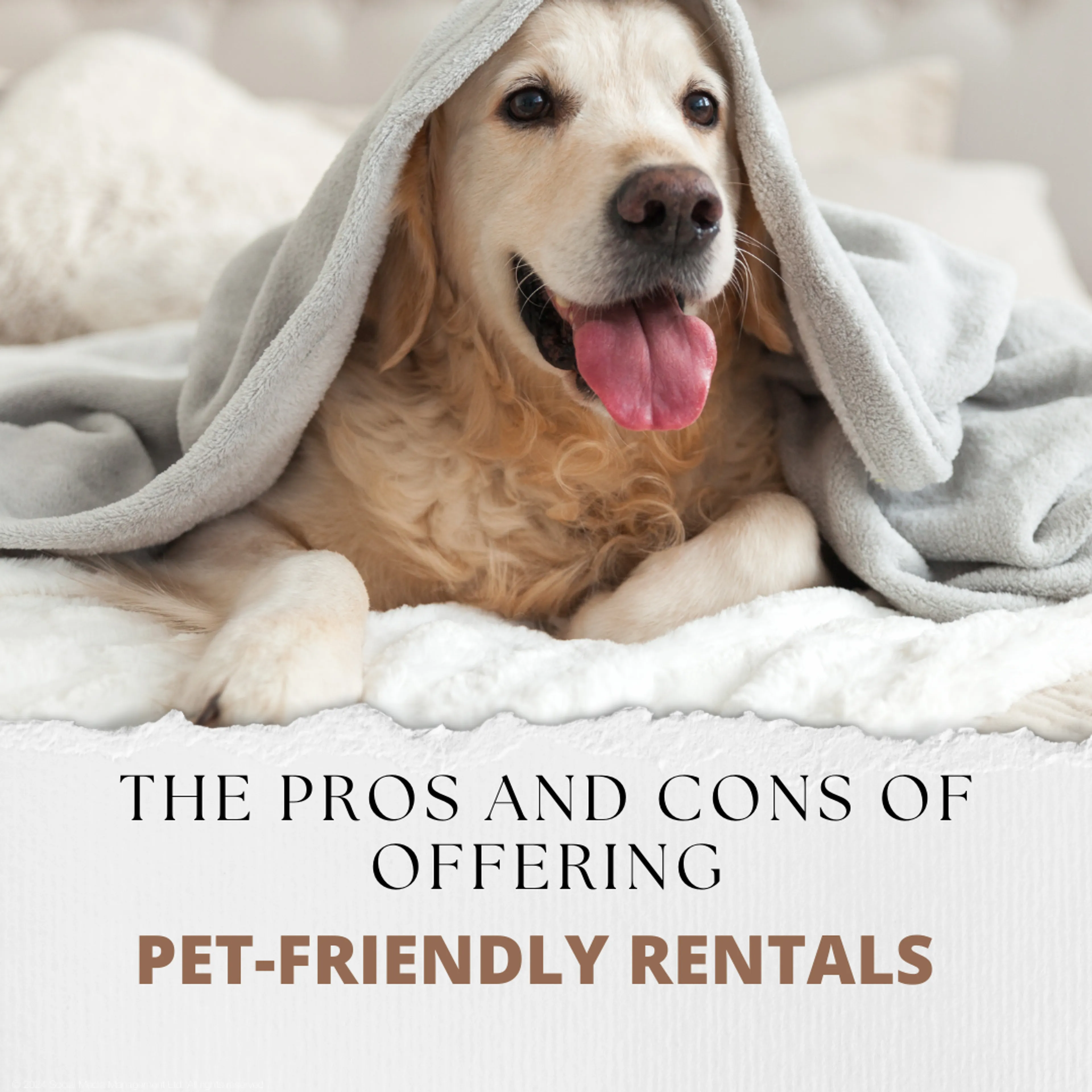 The Pros And Cons Of Offering Pet-Friendly Rentals In Stoke-on-Trent