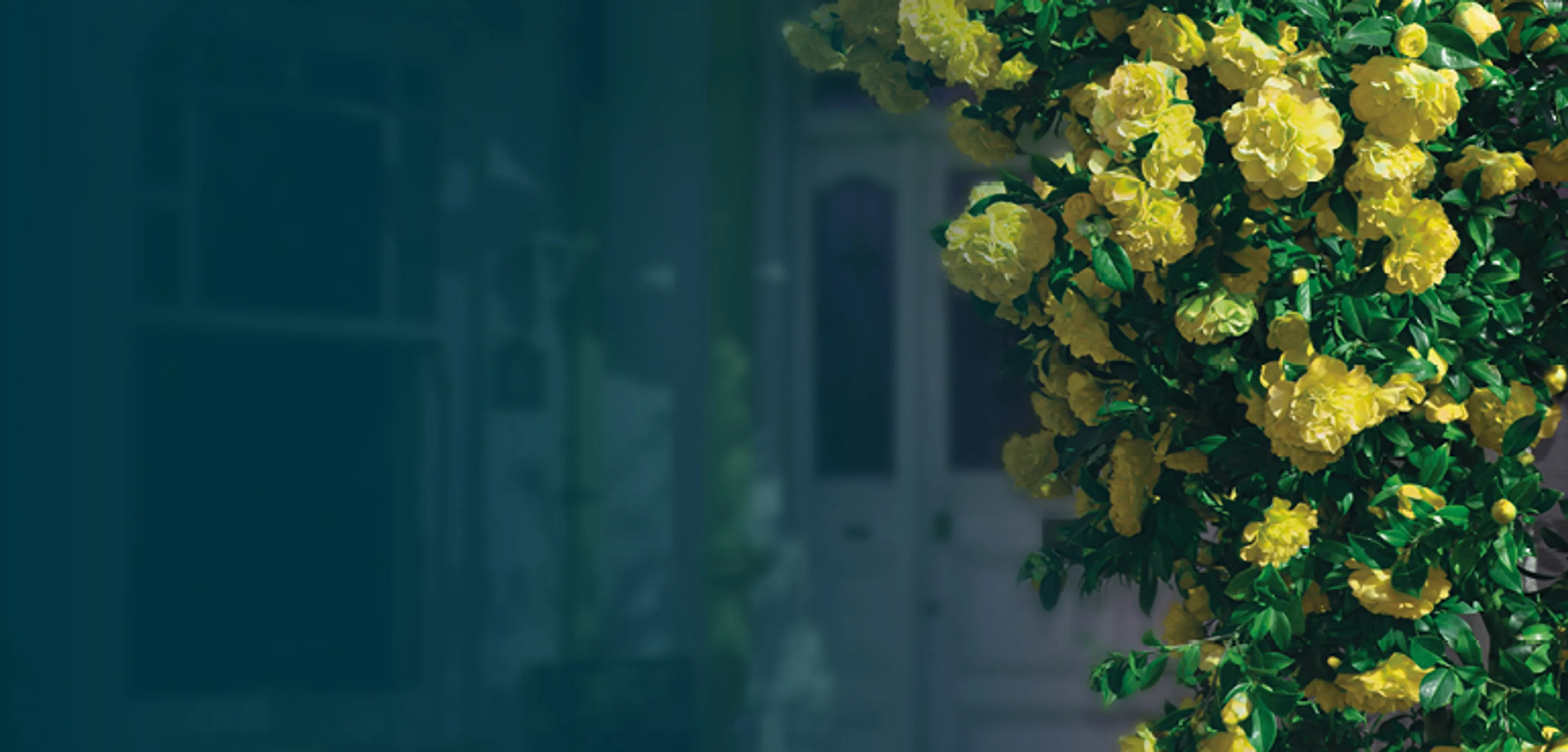 https://mr3.homeflow-assets.co.uk/files/media/image/0000/0000/d50c952518a238ac704809a753b6d049/summer-banner-cb.jpg