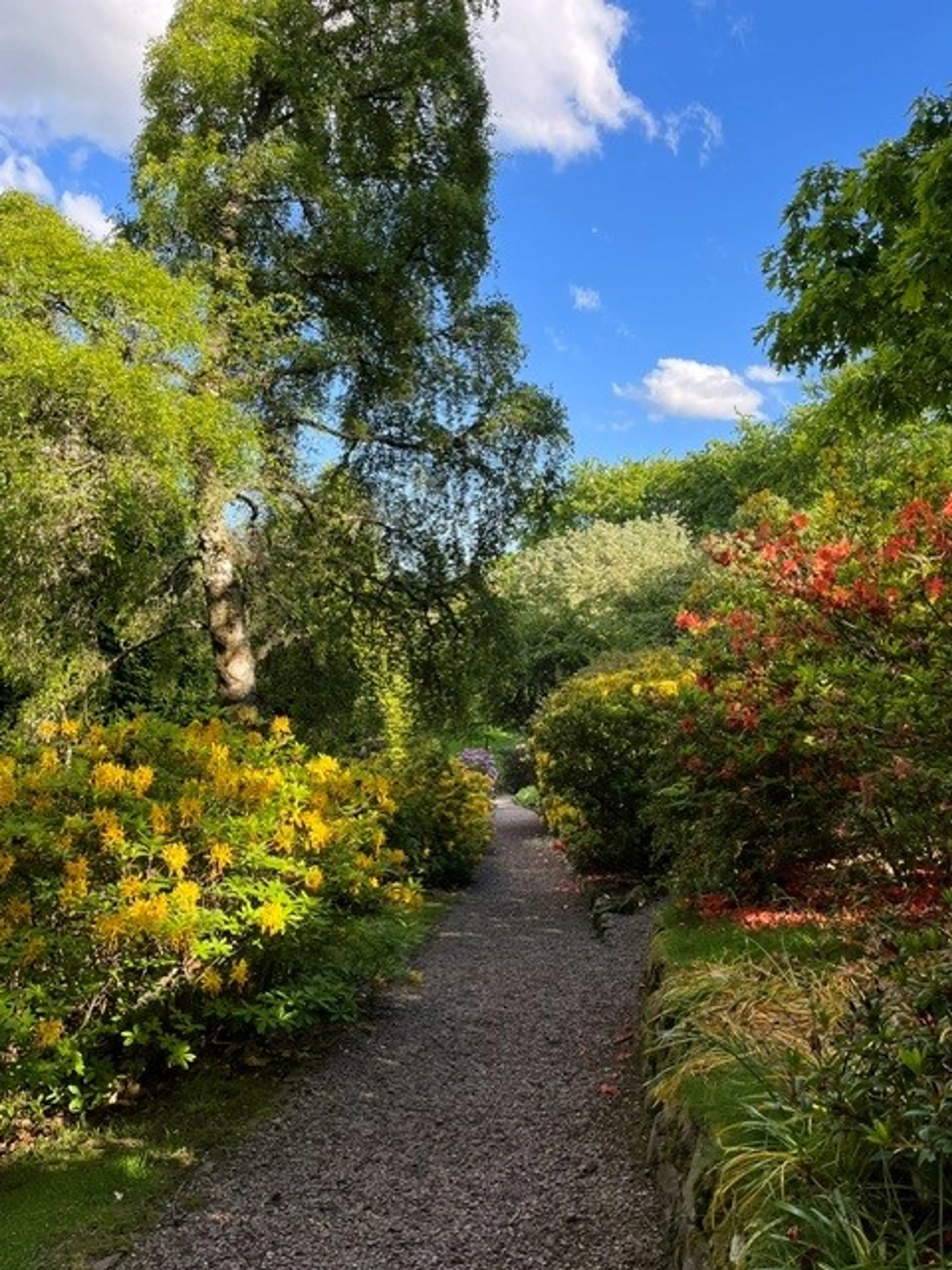 Property photo 32