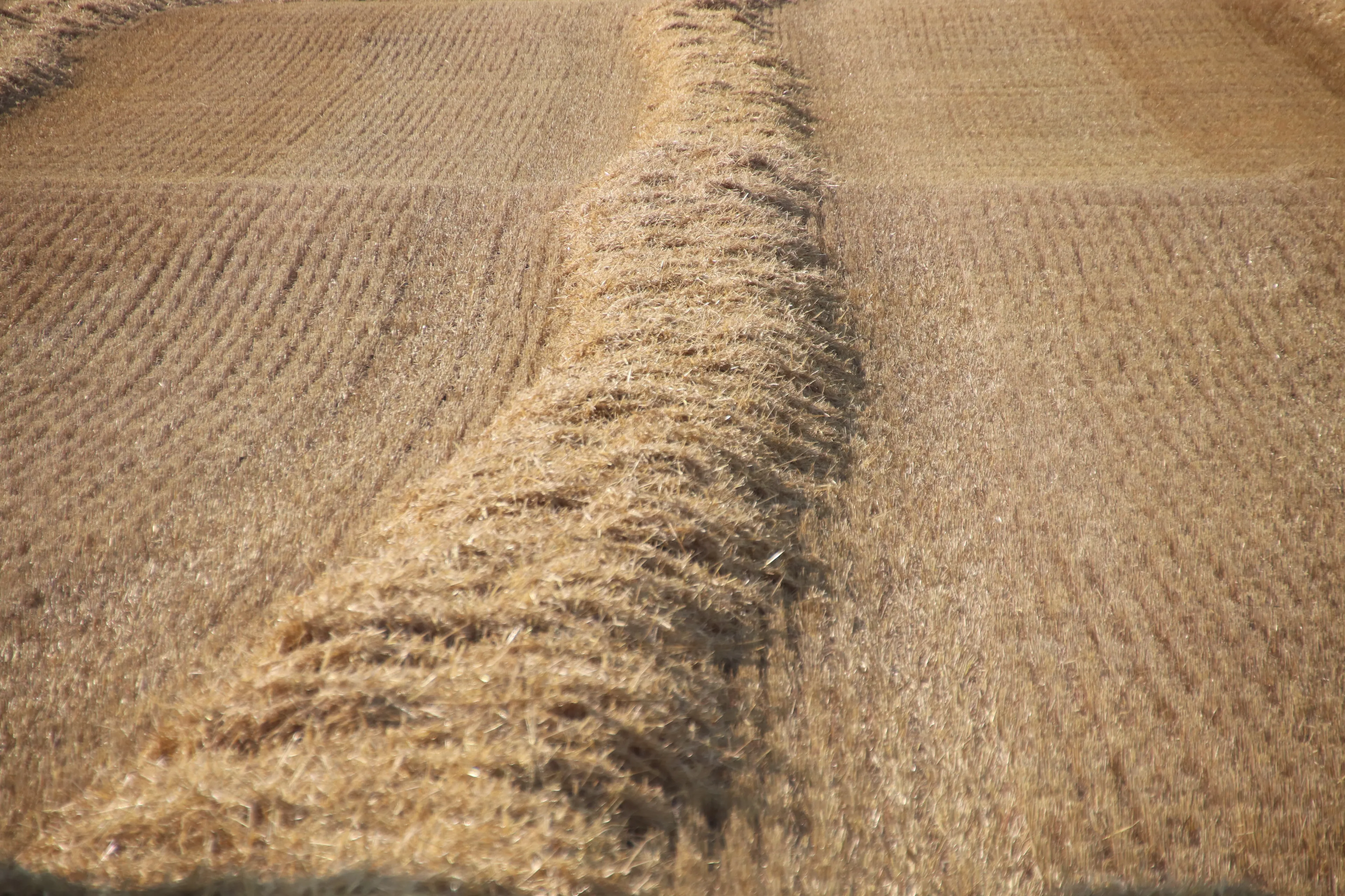 https://mr3.homeflow-assets.co.uk/files/media/image/0000/0000/fc060a437b806153a67fdf4e8ade280b/straw_in_swath.JPG