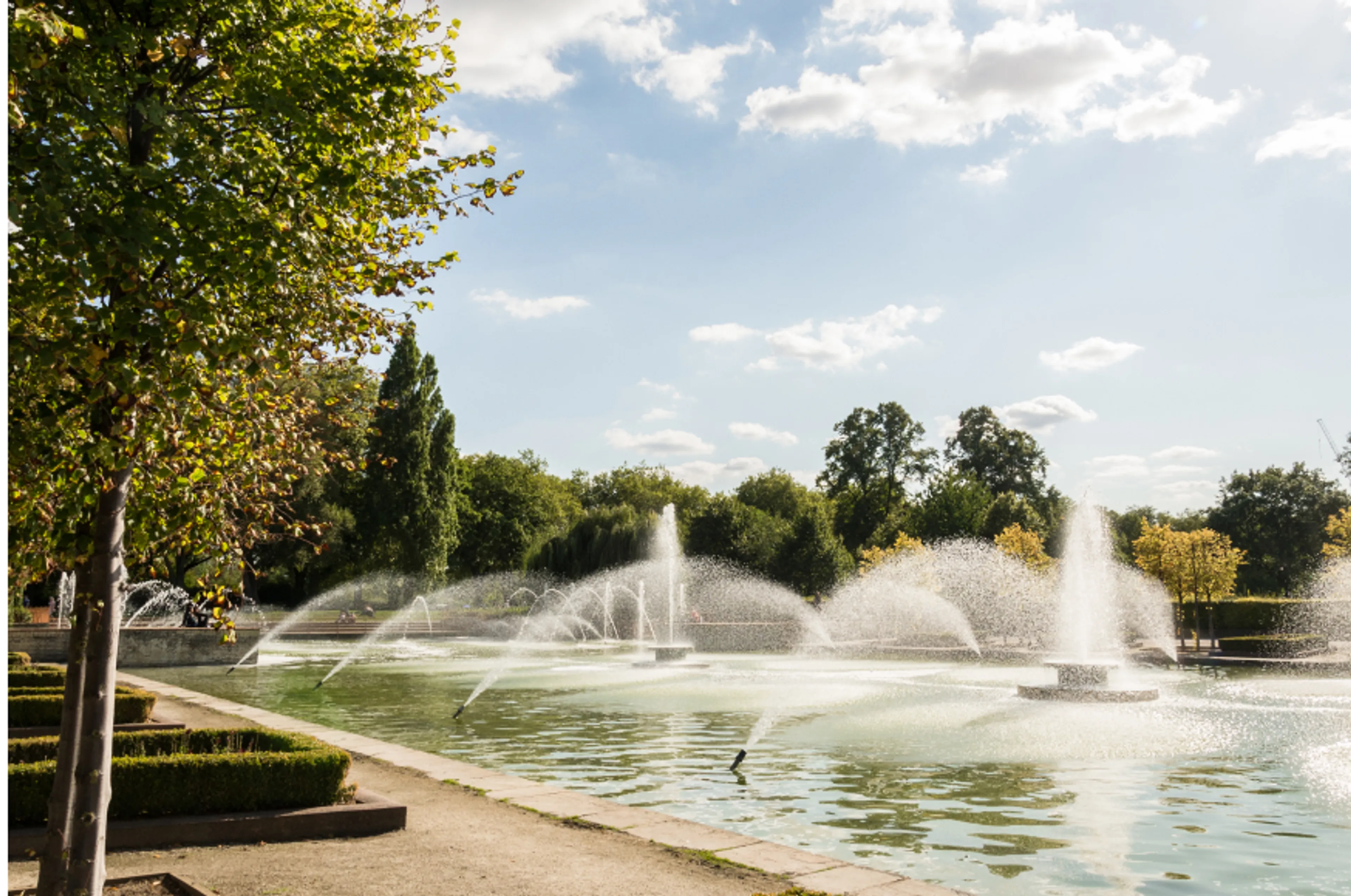 874x580-BatterseaParkbranch.jpg