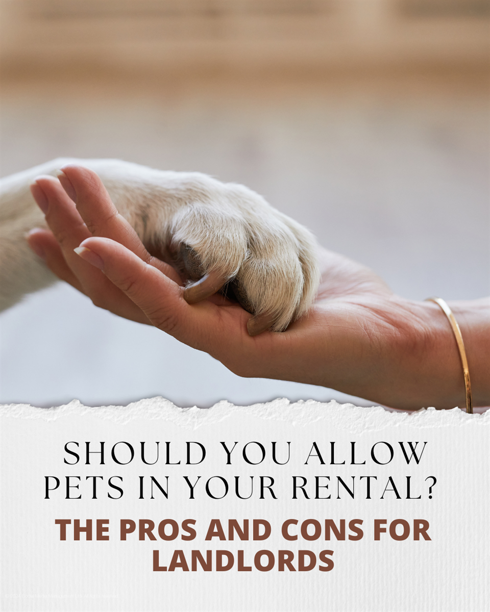 Should you allow pets in your rental? The pros and cons for landlords in Stoke-on-Trent