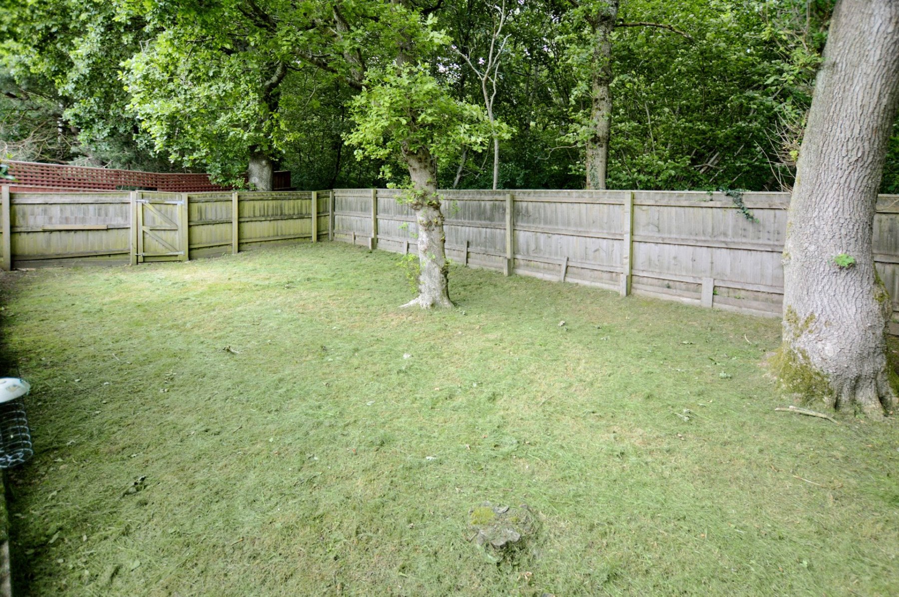 3 bedroom property for sale in Fern Road, Newton Abbot, Devon, TQ12