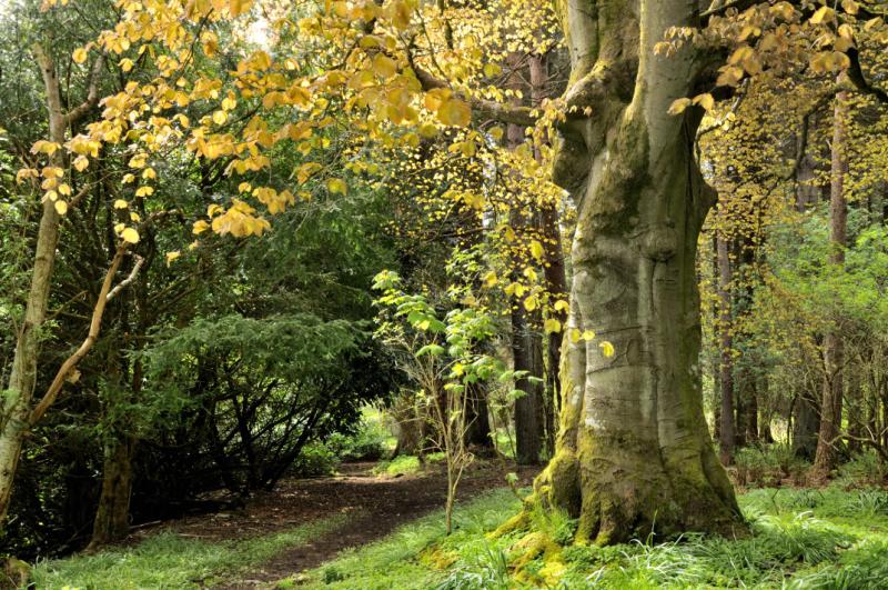 House for sale in Cavers Castle, Denholm, Hawick, TD9. Rettie & Co