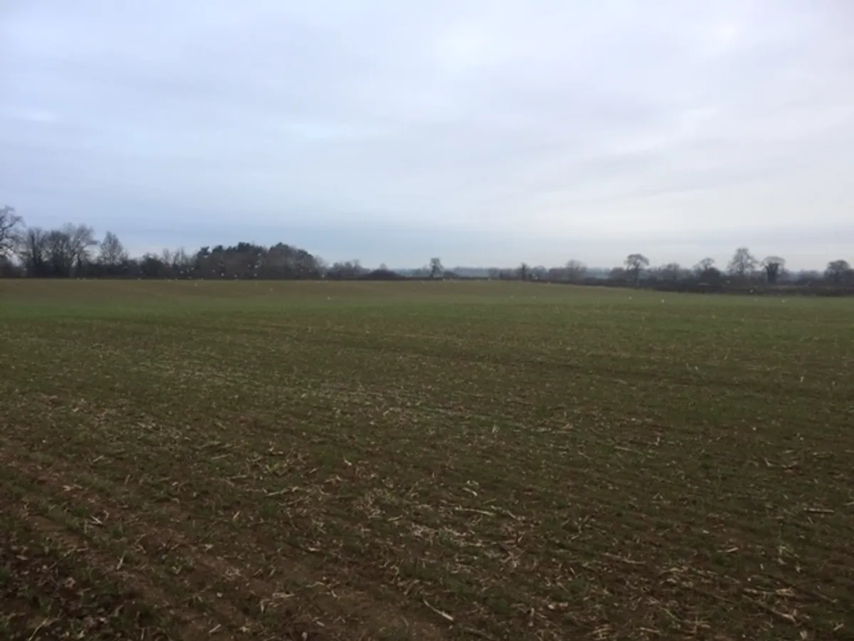 Market Overton