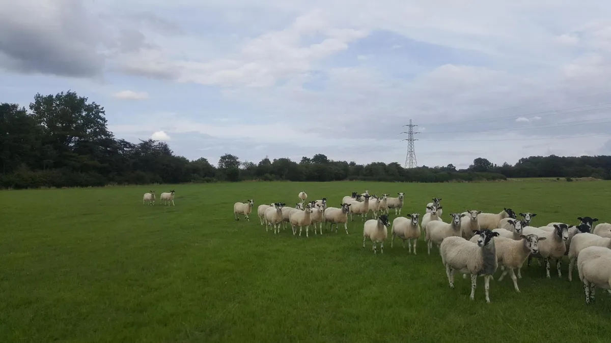 Holwell, Melton Mowbray