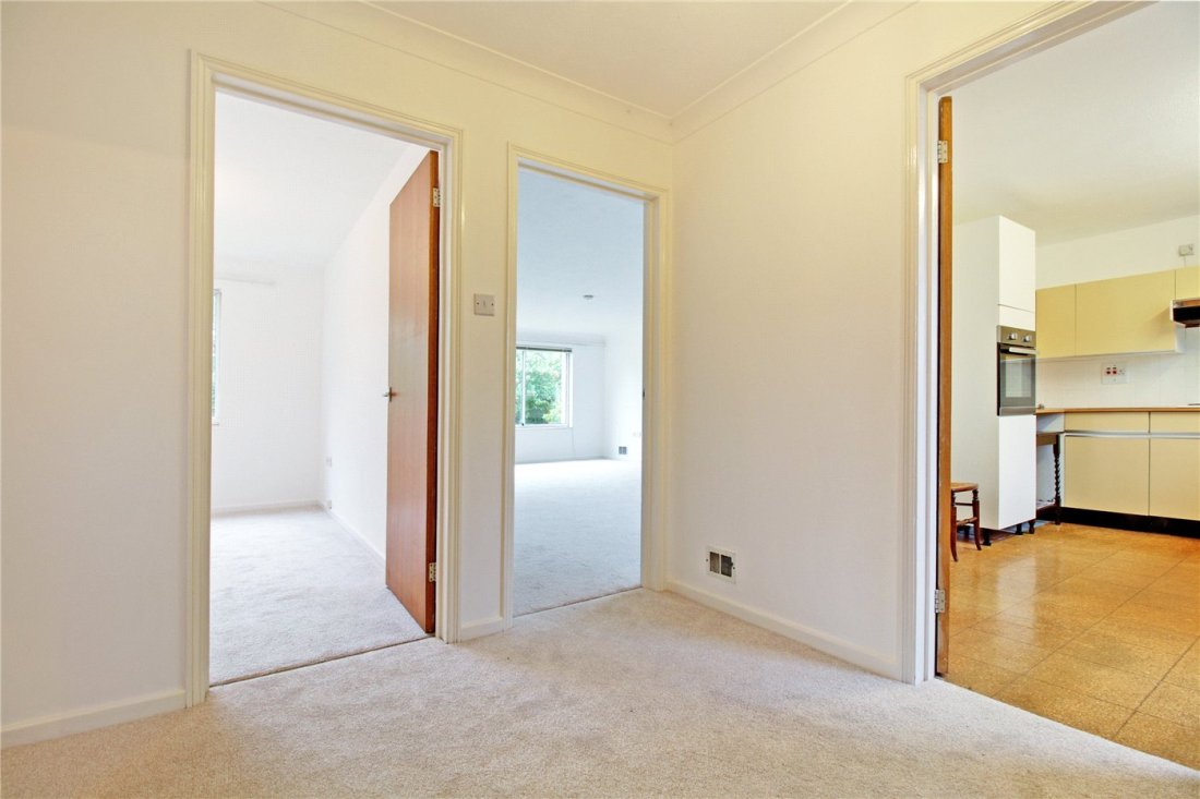 It109 ip15 essay 06 picture