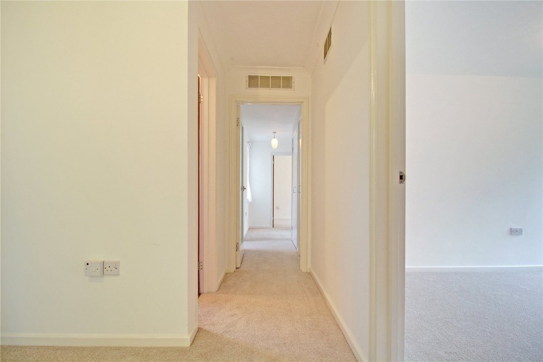 It109 ip15 essay image