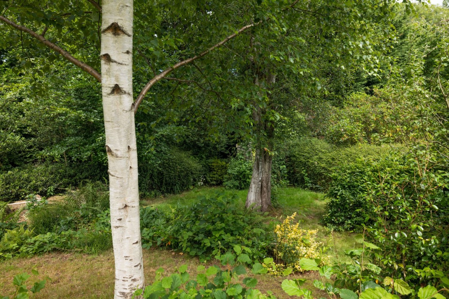 JacksonStops 3 bedroom property for sale in The Tump, Crowborough