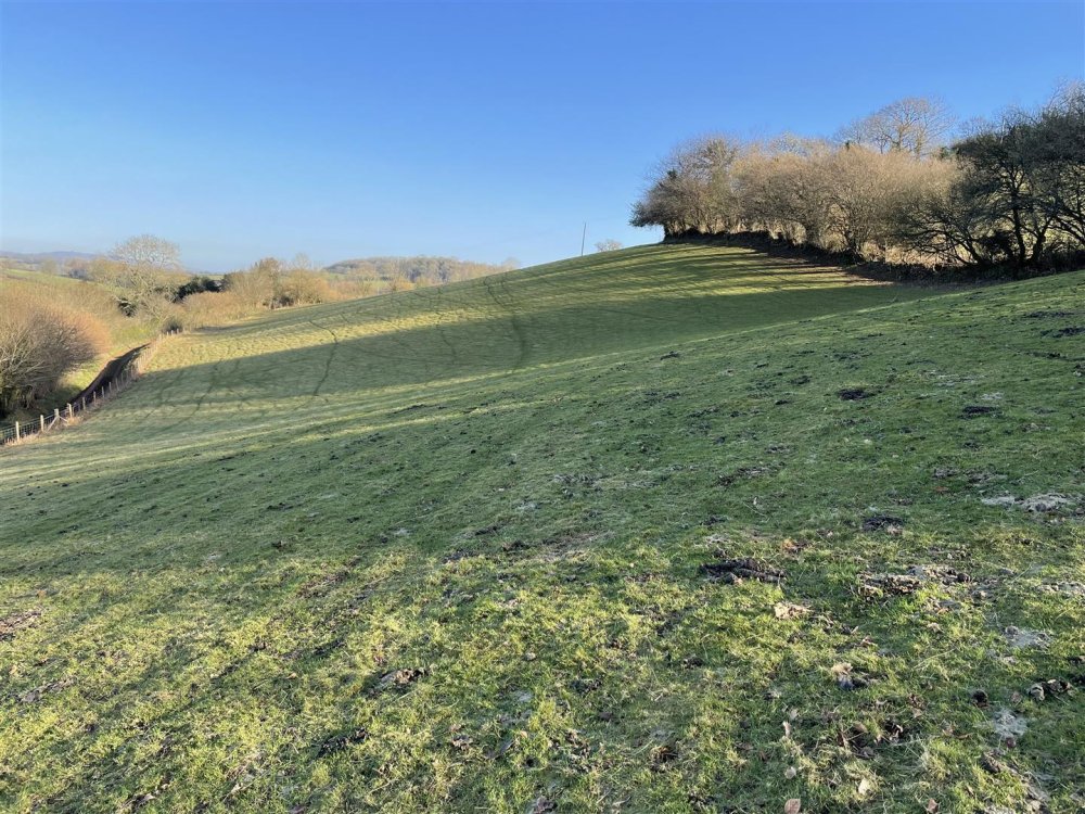 Stags property for sale in Langley Marsh, Taunton