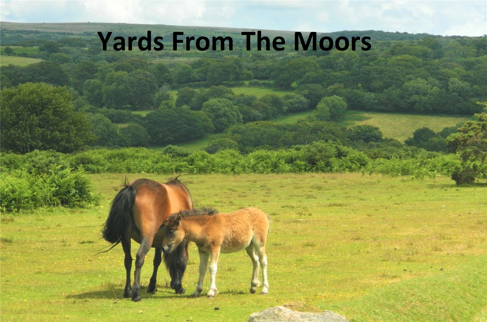 4 bedroom property for sale in Crapstone, Yelverton Guide price £650,000