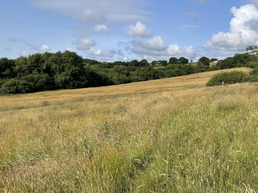 Stags property for sale in Loxbeare, Tiverton