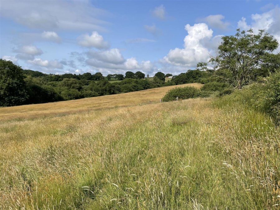 Stags property for sale in Loxbeare, Tiverton