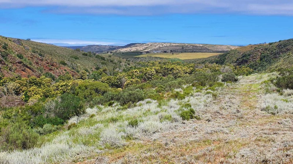 1 bedroom property for sale in Riversdale Rural, Riversdale, Western