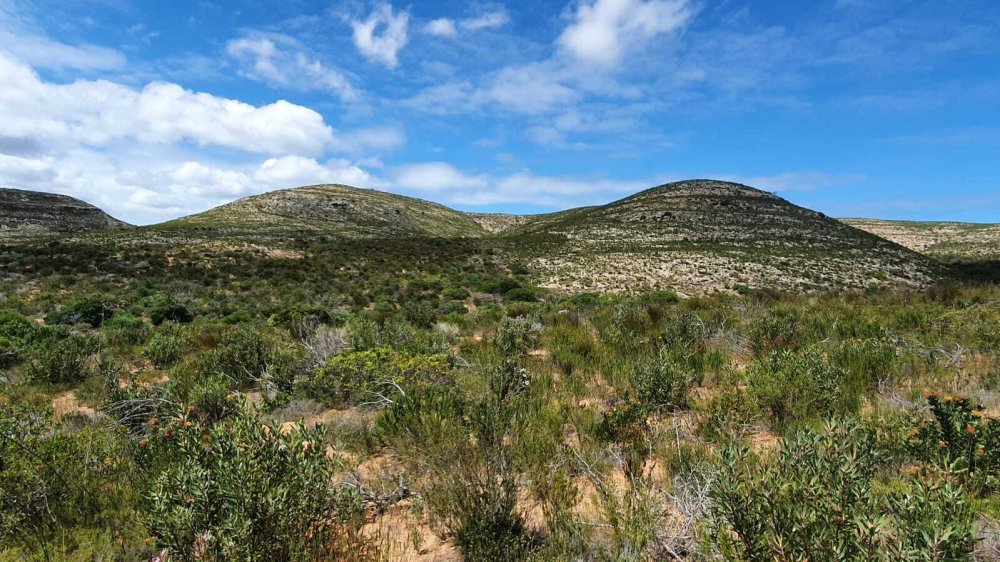 1 bedroom property for sale in Riversdale Rural, Riversdale, Western