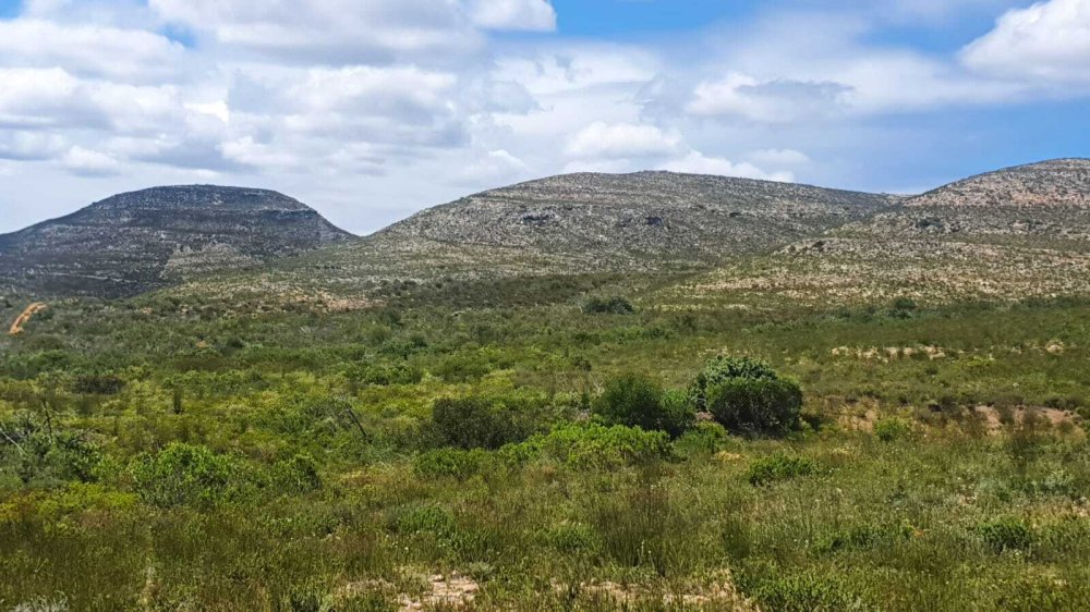 1 bedroom property for sale in Riversdale Rural, Riversdale, Western