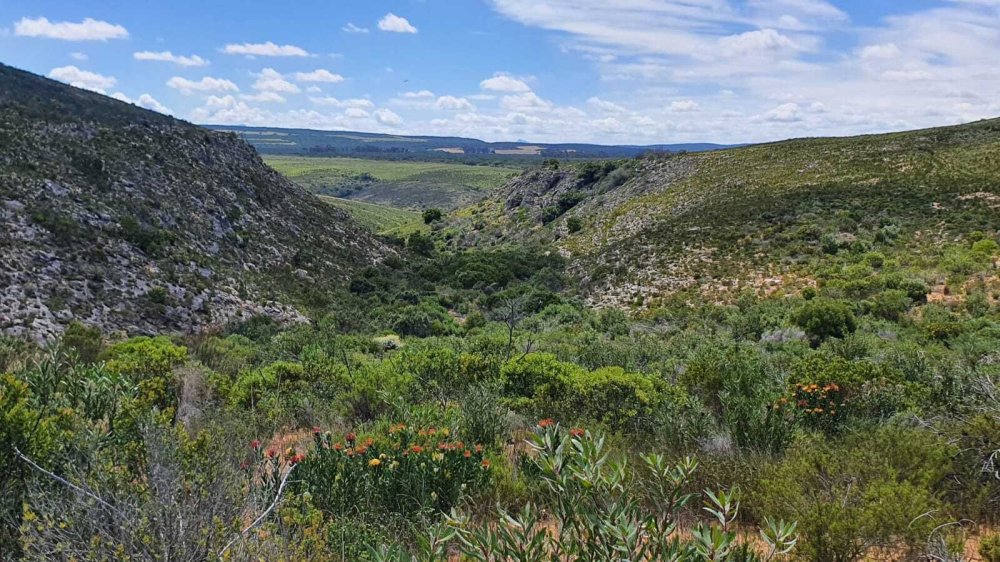 1 bedroom property for sale in Riversdale Rural, Riversdale, Western