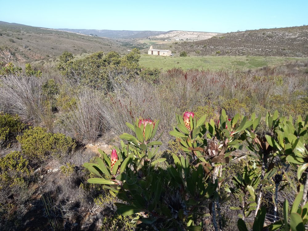 1 bedroom property for sale in Riversdale Rural, Riversdale, Western