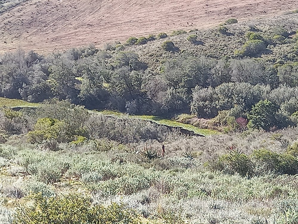 1 bedroom property for sale in Riversdale Rural, Riversdale, Western