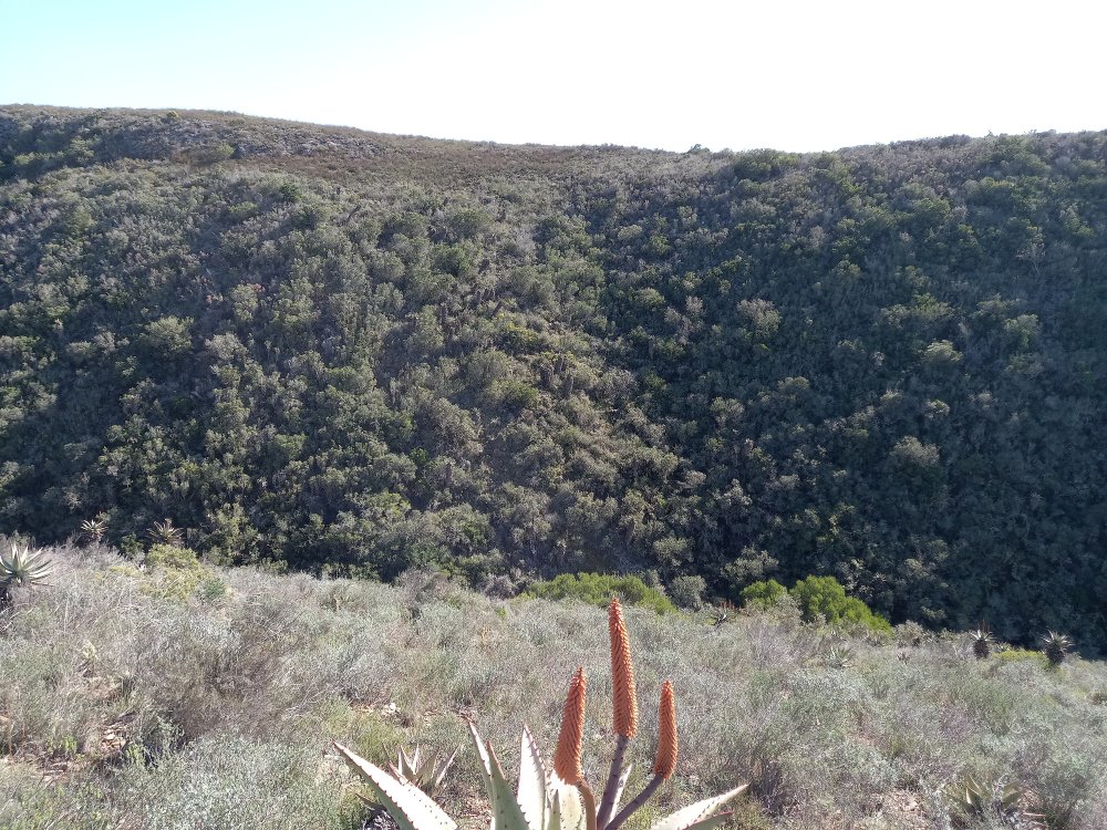 1 bedroom property for sale in Riversdale Rural, Riversdale, Western