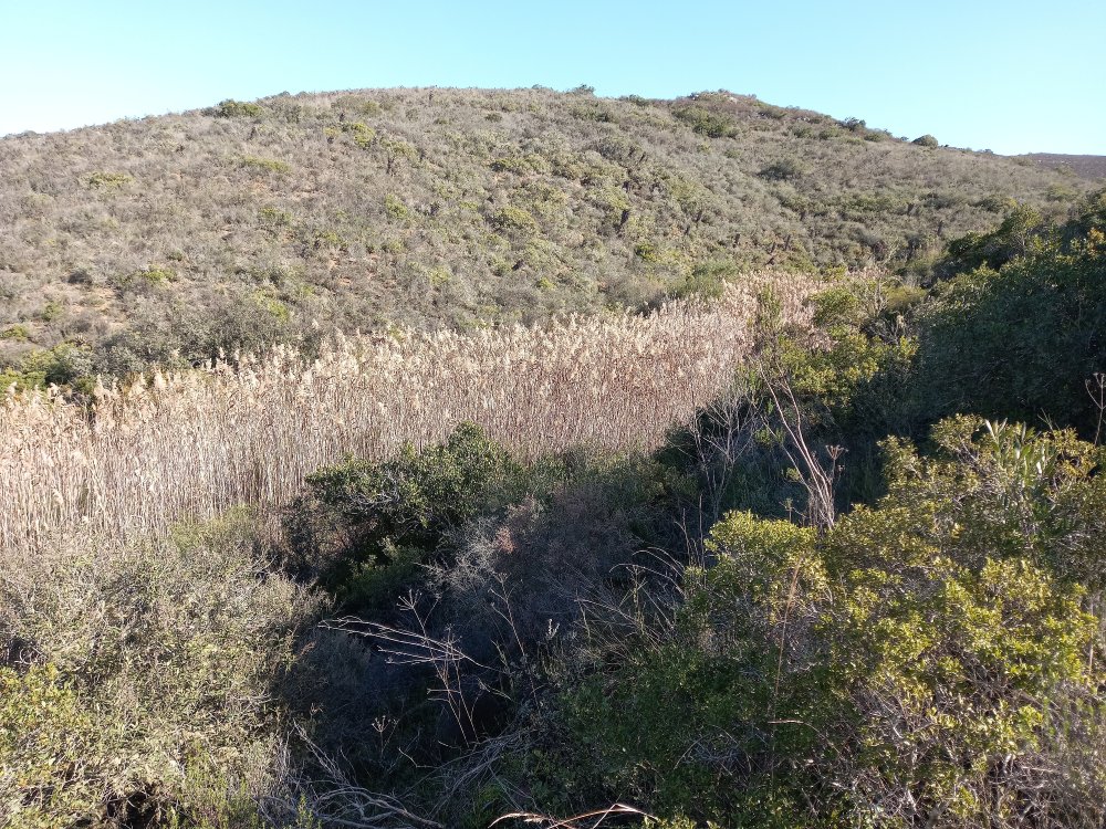 1 bedroom property for sale in Riversdale Rural, Riversdale, Western