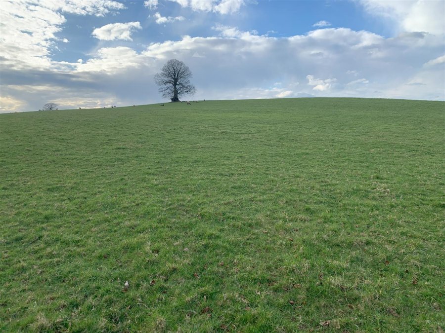 Stags property for sale in Poughill, Crediton