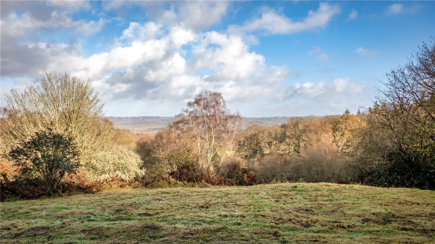 JacksonStops 4 bedroom property for sale in Redford, Near Midhurst, West Sussex, GU29 Guide