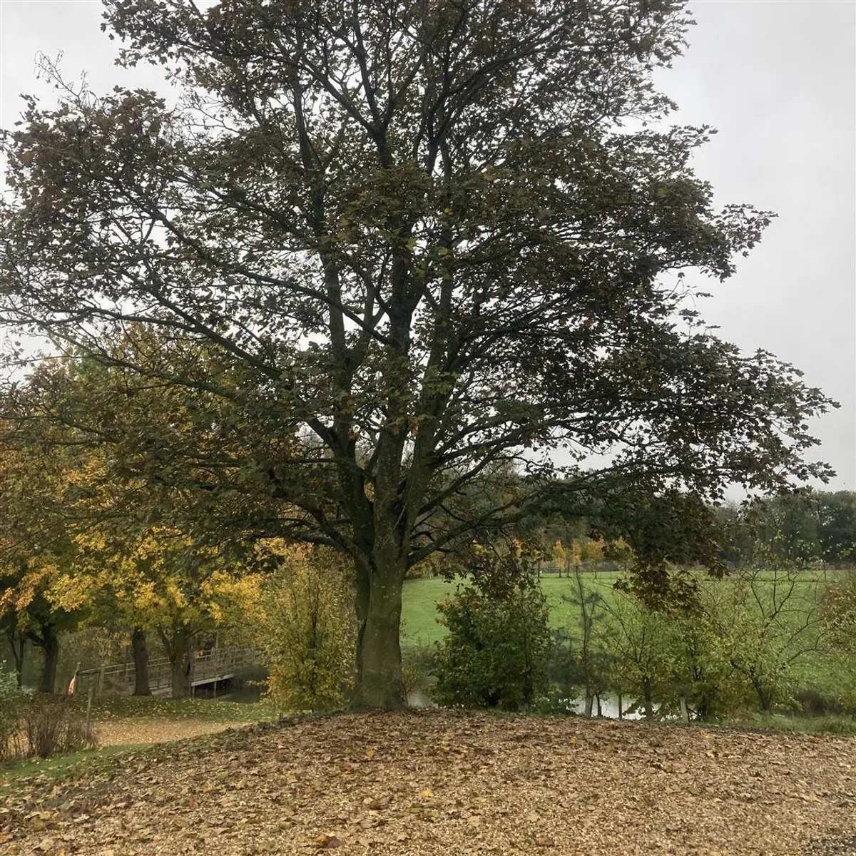 Grange Farm, Wittering Grange, Wansford, Peterborough Cambridgeshire PE8 6NR