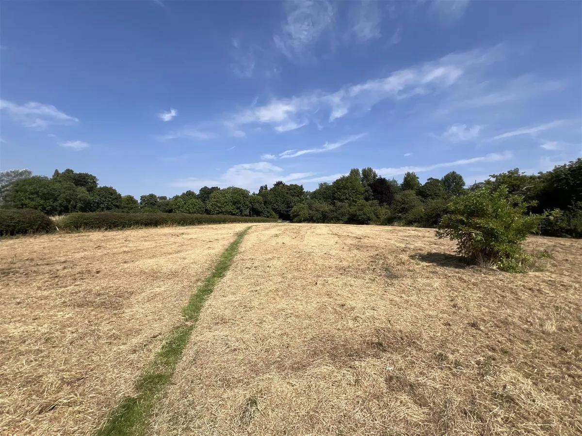 Grass Paddocks & Stables, Cossington, Leicestershire