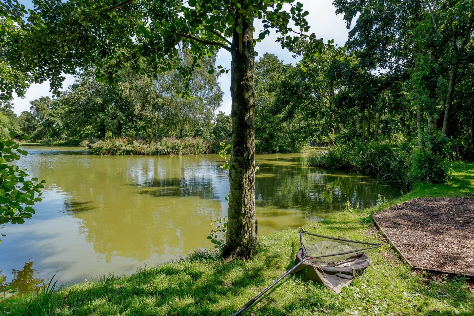 Somerset Image 12