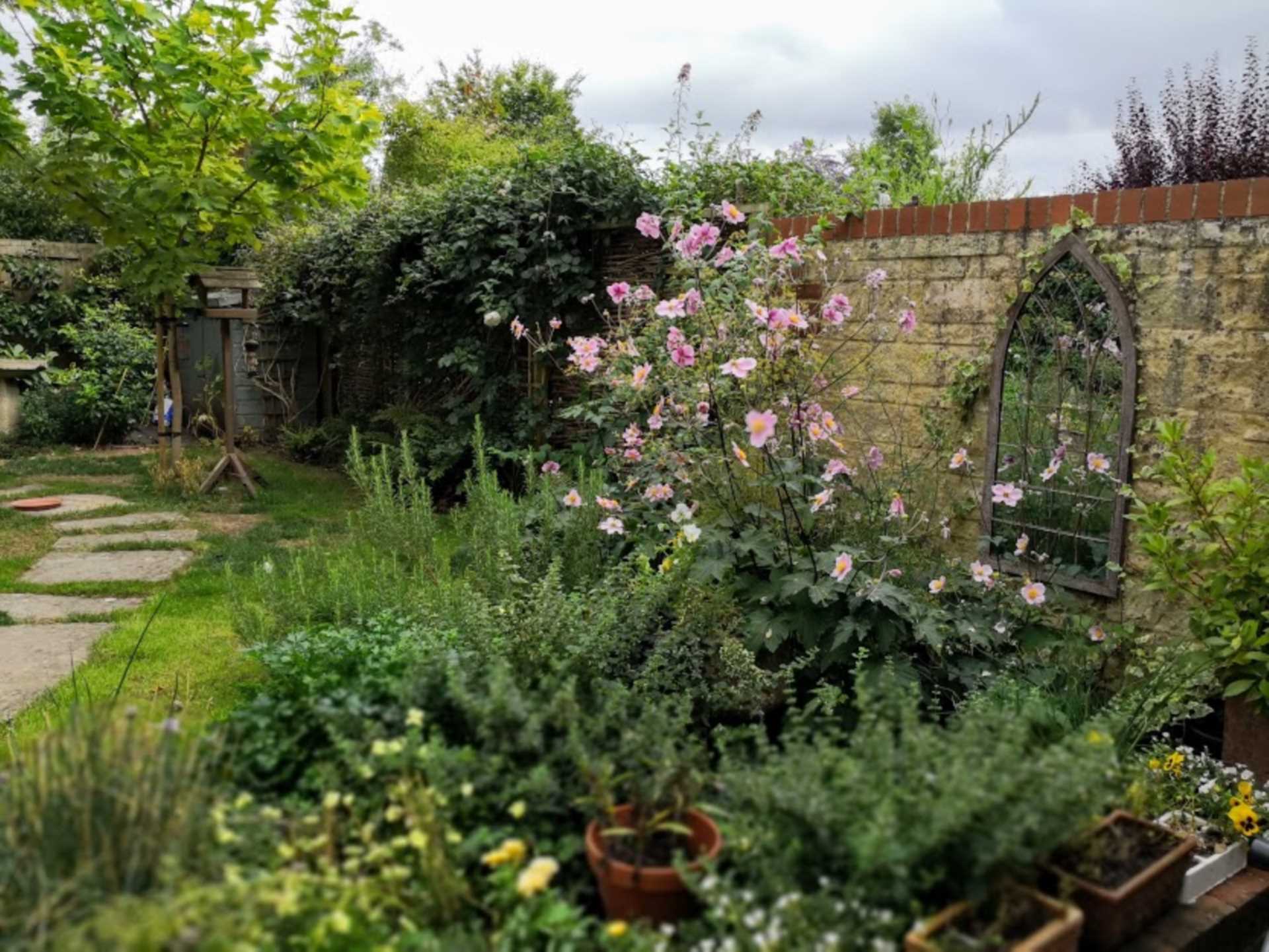 Wool House Gardens, Codford Image 6